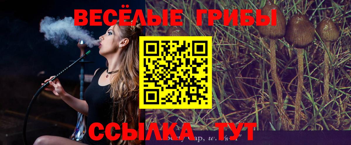 Псилоцибиновые грибы мухоморы Кумертау